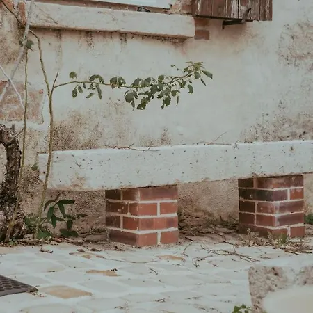 Cocon Champetre بيت للعطل La Saulsotte